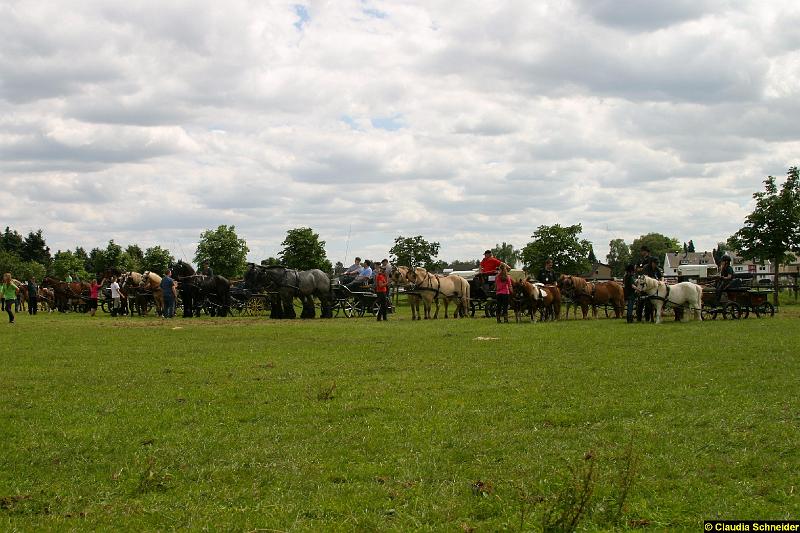 Ponytag Bosbach 2012-055.jpg